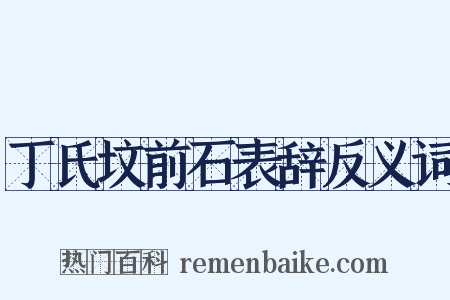 丁氏坟前石表辞反义词是什么意思的图片